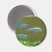 20160526_113326 MAGNEET (Voorkant / Achterkant)