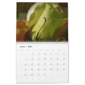 2016 Agenda-Paarse & Jade Rozen Agenda Kalender (Mar 2027)