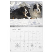 2016 Bernese Mountain Dog Calendar Kalender (Jan 2027)