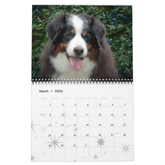 2016 Bernese Mountain Dog Calendar Kalender (Mar 2026)