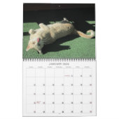 2016 Cat & Dog Agenda Kalender (Jan 2026)