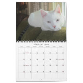 2016 Cat & Dog Agenda Kalender (Feb 2026)