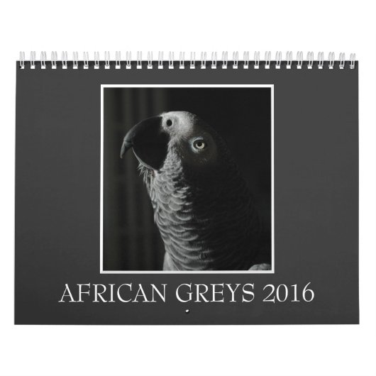 2016 Congo-Afrikaanse grijze agenda Kalender (Hoes)