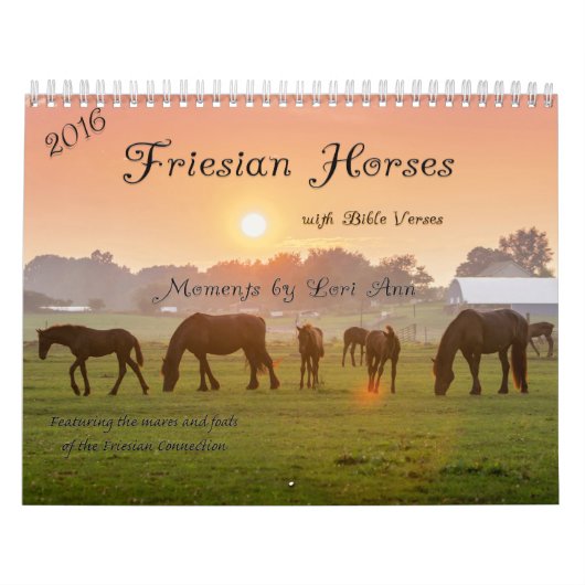 2016 Friesian Horse Calendar met Bijbelversies Kalender (Hoes)