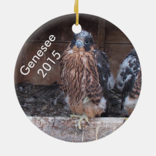 2016 Genesee Ornament - in volwassen plumage. (Achterkant)