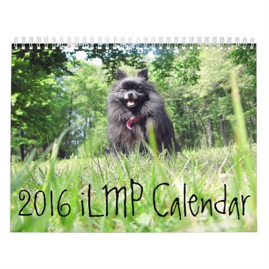 2016 iLMP-agenda Kalender (Hoes)