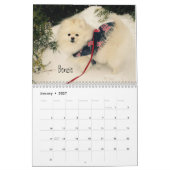 2016 iLMP-agenda Kalender (Jan 2027)