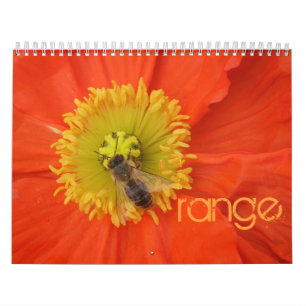 2016 in kleuren - kalender