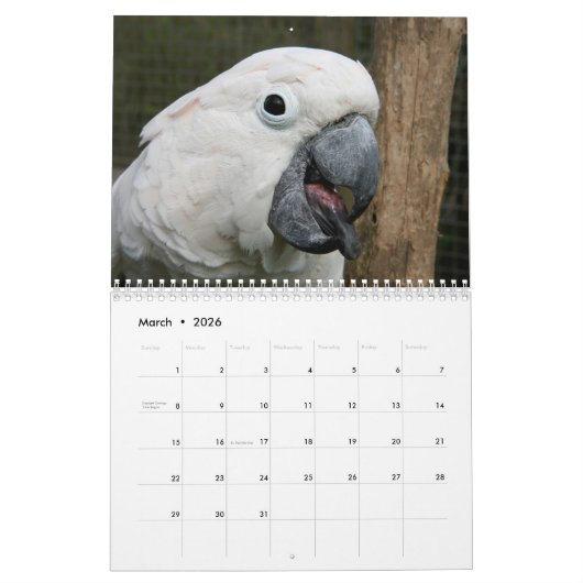 2016 Kalender van Parrots, ara, amazon (Mar 2026)