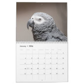 2016 Kalender van Parrots, ara, amazon (Jan 2026)