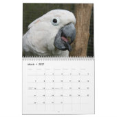 2016 Kalender van Parrots, ara, amazon (Mar 2027)