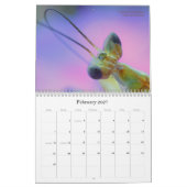 2016 Mantidforum - Mantidforum - Muurkalender met Kalender (Feb 2027)
