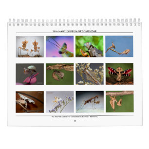 2016 Mantidforum - Mantidforum - Muurkalender met Kalender