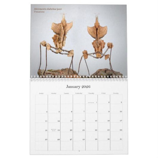 2016 Mantidforum - Mantidforum - Muurkalender met  Kalender (Jan 2026)