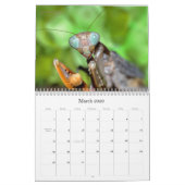 2016 Mantidforum - Mantidforum - Muurkalender met  Kalender (Mar 2026)