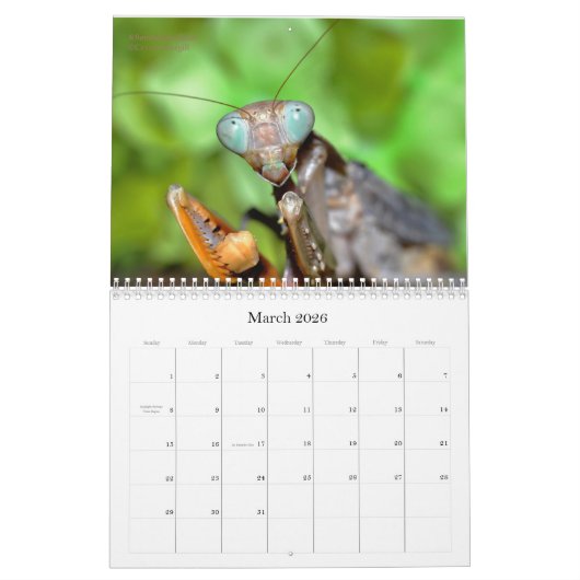 2016 Mantidforum - Mantidforum - Muurkalender met  Kalender (Mar 2026)