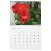 2016 Rozen Kalender (Feb 2027)
