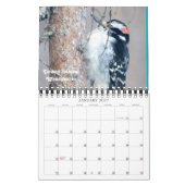 2016 vogelkalender vanuit mijn venster kalender (Jan 2027)