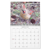 2016 vogelkalender vanuit mijn venster kalender (Mar 2027)