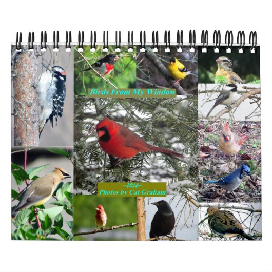 2016 vogelkalender vanuit mijn venster kalender (Hoes)