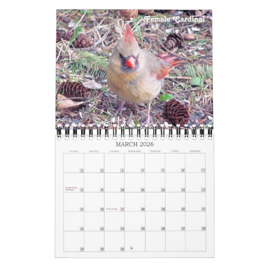 2016 vogelkalender vanuit mijn venster kalender (Mar 2026)