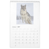 2016 Wildlife Muur Kalender door Steven Holt (Jan 2027)