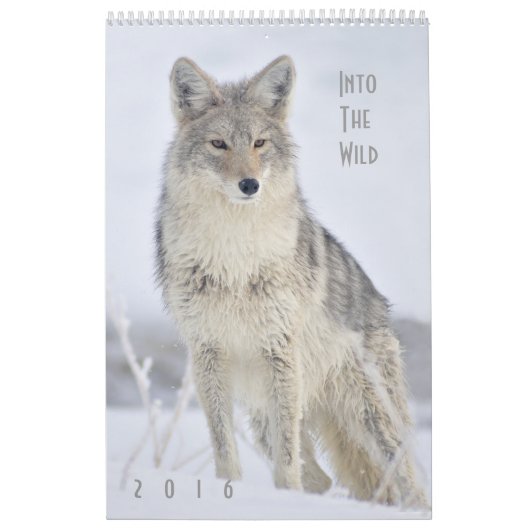 2016 Wildlife Muur Kalender door Steven Holt (Hoes)
