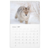 2016 Wildlife Muur Kalender - Wildlife Fotografie (Jan 2027)