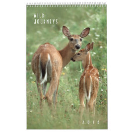 2016 Wildlife Muur Kalender - Wildlife Fotografie