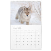 2016 Wildlife Muur Kalender - Wildlife Fotografie (Jan 2026)