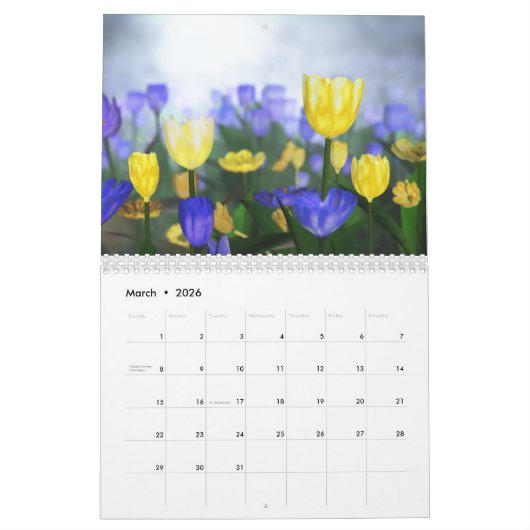 2017 3D Landschap Agenda Kalender (Mar 2026)