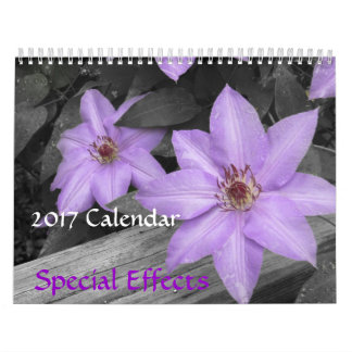 2017 Agenda - Agenda met speciale effecten Kalender