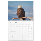 2017 Agenda voor fotografie Kalender (Feb 2027)
