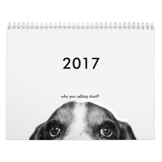 2017 Basset Hound Kalender (Hoes)
