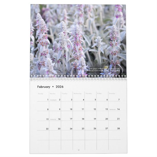 2017 Beauty of Natuur Photography Calendar Kalender (Feb 2026)