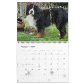 2017 Bernese Mountain Dogs Calendar Kalender (Feb 2027)