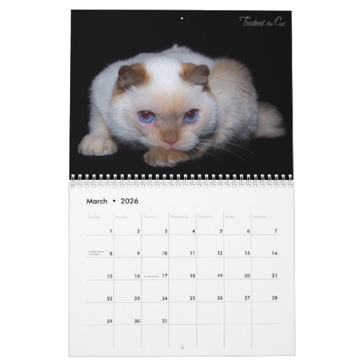 2017 De kat-kalender bijsturen Kalender (Mar 2026)