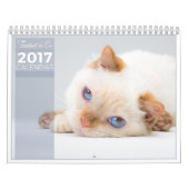 2017 De kat-kalender bijsturen Kalender (Hoes)