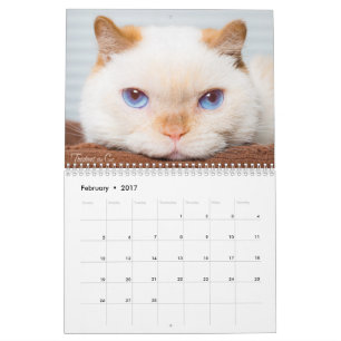 2017 De kat-kalender bijsturen Kalender