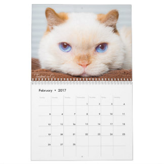 2017 De kat-kalender bijsturen Kalender