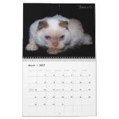 2017 De kat-kalender bijsturen Kalender (Mar 2027)