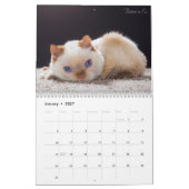 2017 De kat-kalender bijsturen Kalender (Jan 2027)