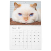 2017 De kat-kalender bijsturen Kalender (Feb 2027)