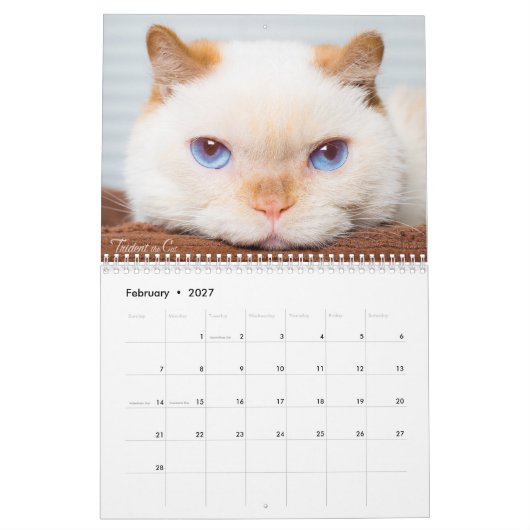2017 De kat-kalender bijsturen Kalender (Feb 2027)