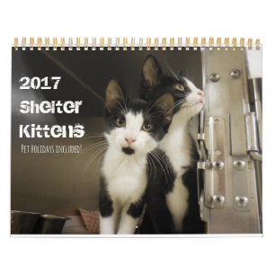 2017 de Katjes van de schuilplaats Kalender