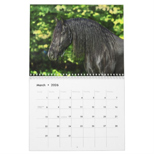2017 Fellinlove with Horses Calendar Kalender (Mar 2026)