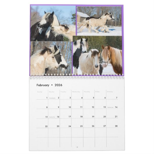 2017 Fellinlove with Horses Calendar Kalender (Feb 2026)