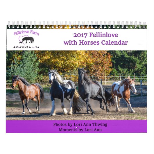 2017 Fellinlove with Horses Calendar Kalender (Hoes)