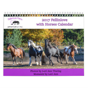 2017 Fellinlove with Horses Calendar Kalender