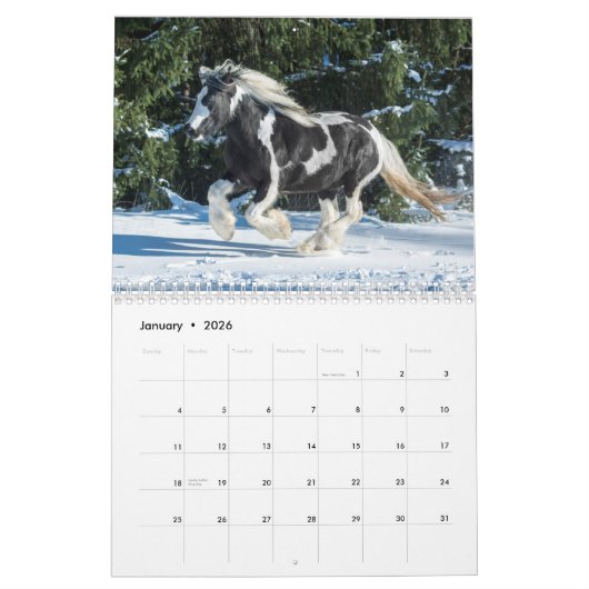 2017 Fellinlove with Horses Calendar Kalender (Jan 2026)
